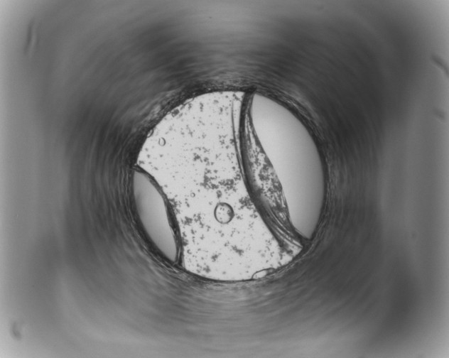 X0000099970029200806131542