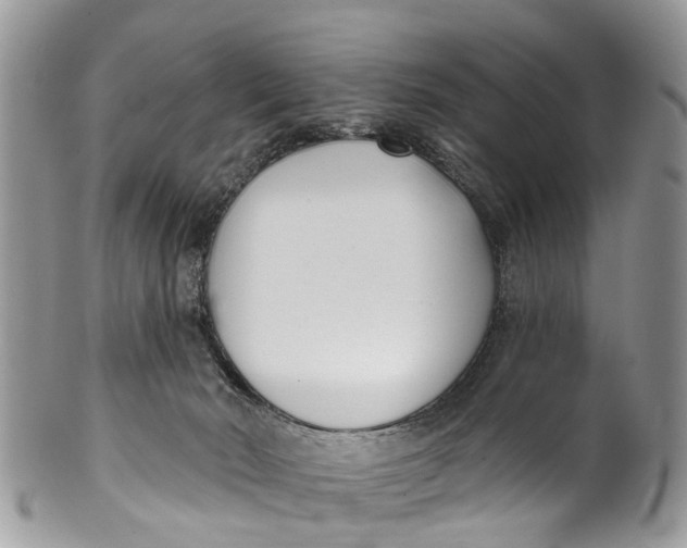 X0000099970030200806131542