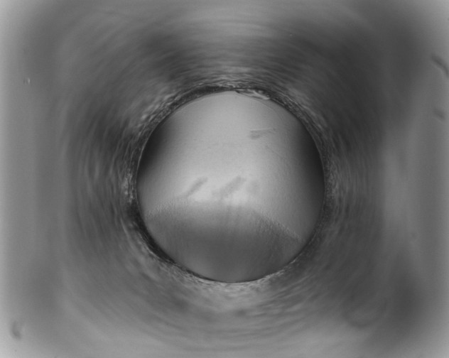 X0000099970031200806131542