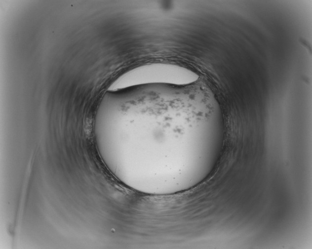 X0000099970033200806131542