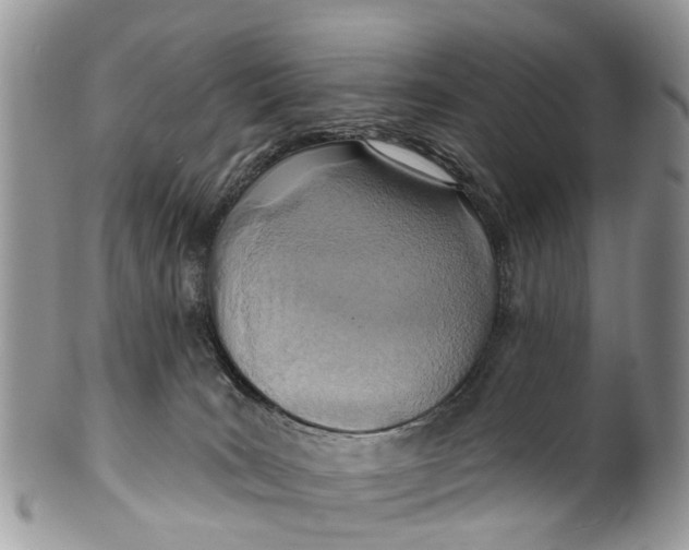 X0000099970035200806131542