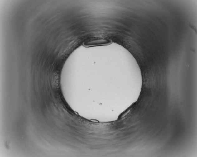 X0000099970036200806131542