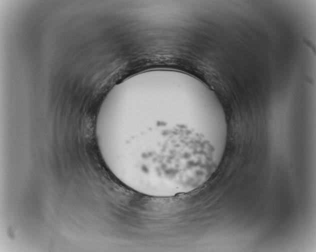 X0000099970037200806131542