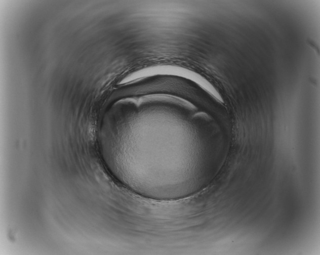 X0000099970039200806131542