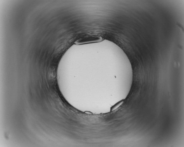 X0000099970040200806131542