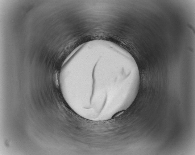 X0000099970042200806131542