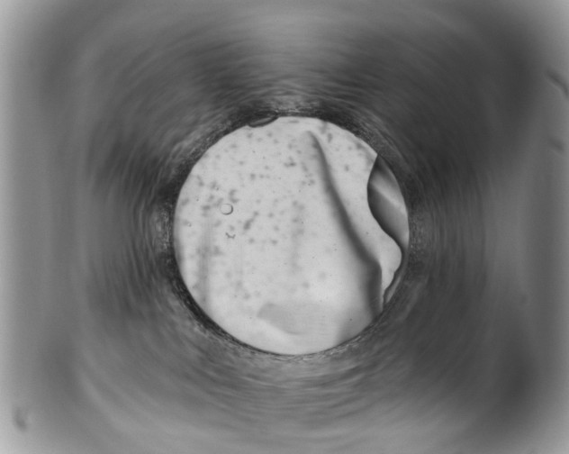 X0000099970043200806131542