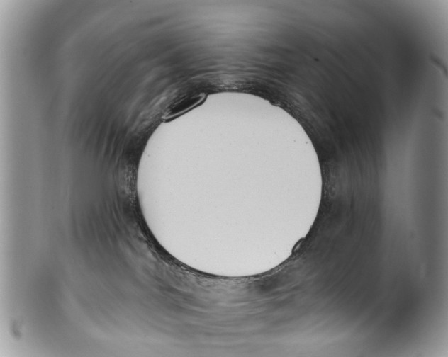 X0000099970044200806131542