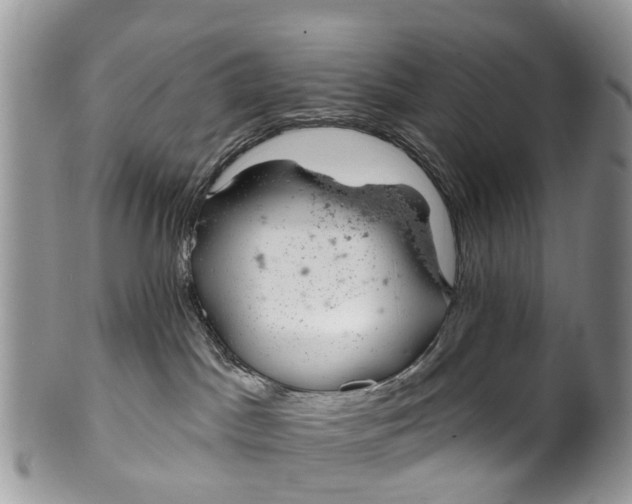 X0000099970045200806131542