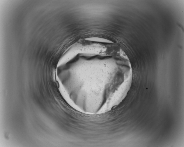 X0000099970046200806131542