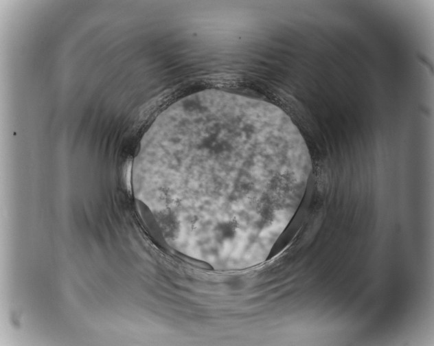 X0000099970047200806131542