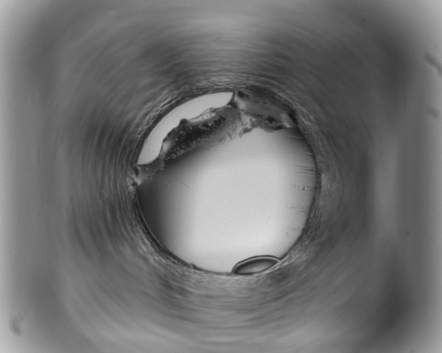 X0000099970048200806131542