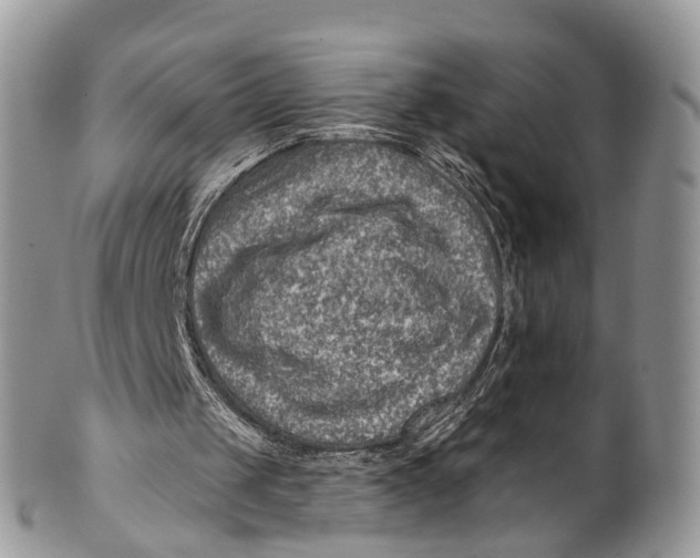 X0000099970049200806131541