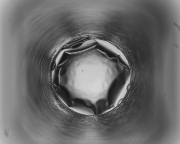 X0000099970050200806131541