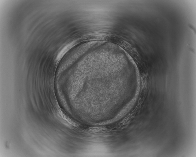 X0000099970051200806131541