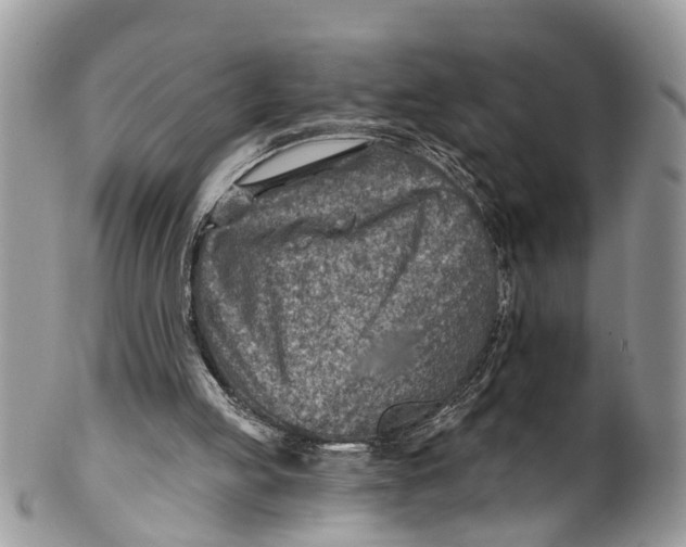 X0000099970053200806131541