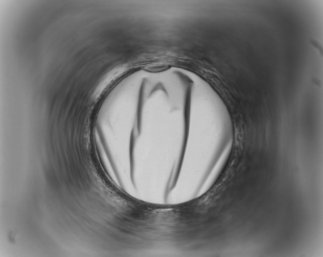 X0000099970054200806131541