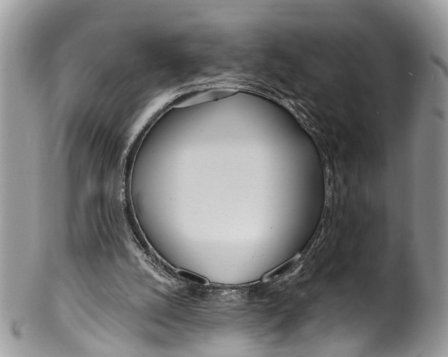 X0000099970056200806131541