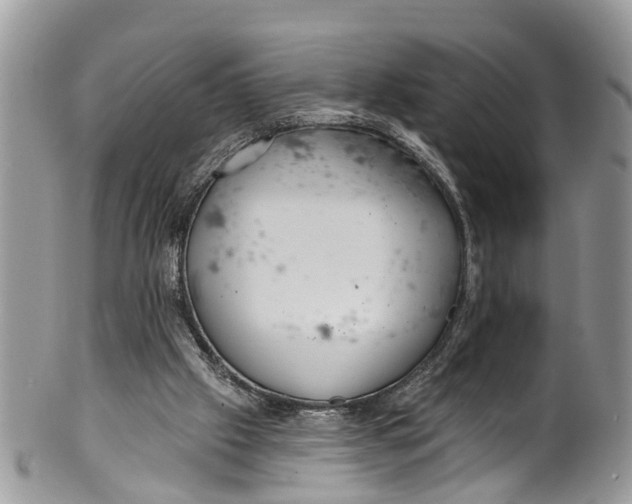 X0000099970057200806131541