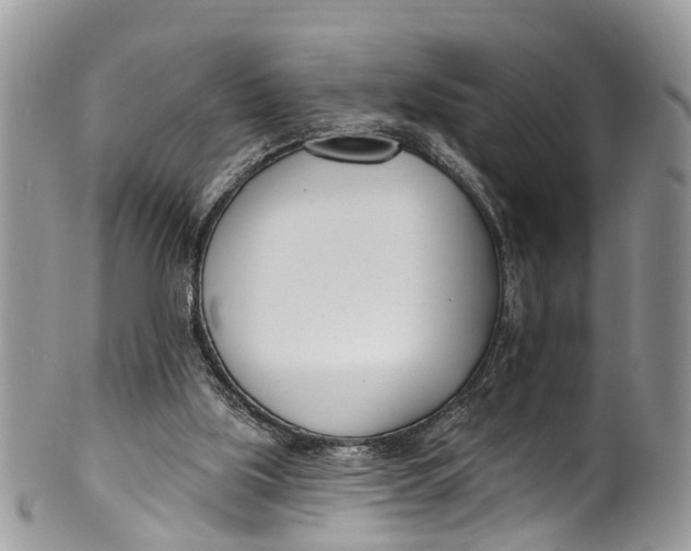 X0000099970059200806131541