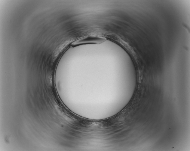 X0000099970060200806131541