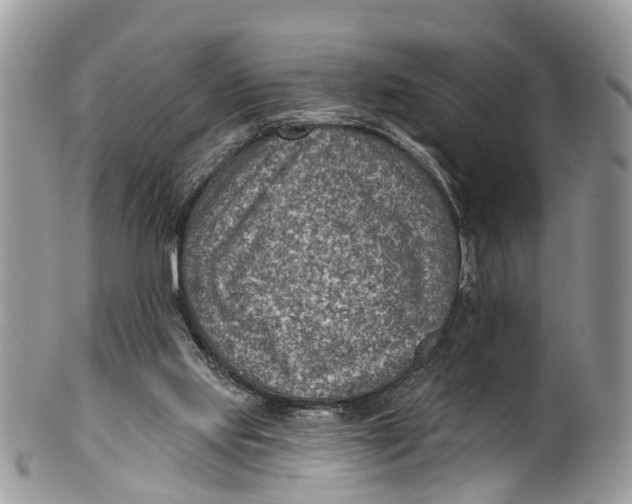 X0000099970061200806131541