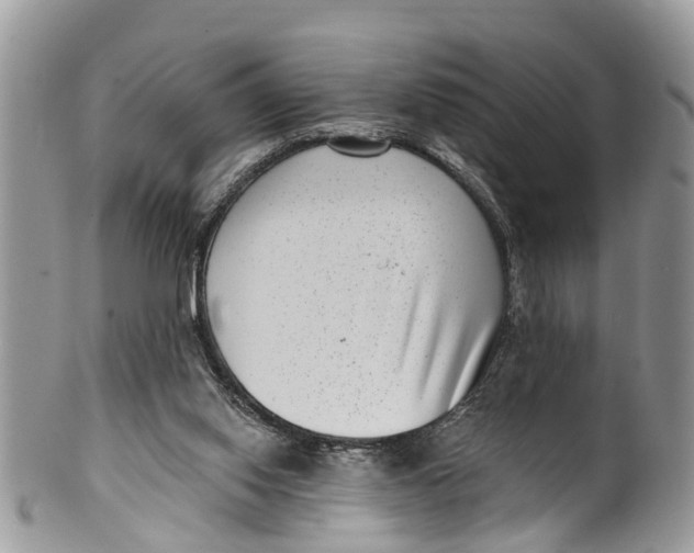 X0000099970062200806131541