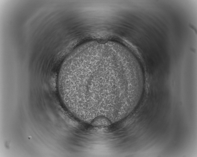 X0000099970065200806131541