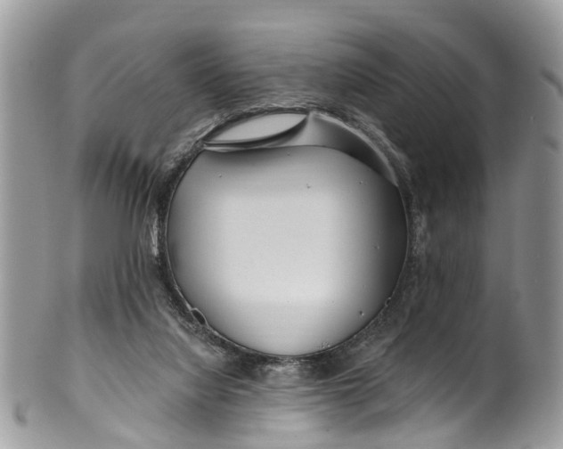 X0000099970068200806131541