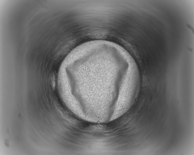 X0000099970069200806131541