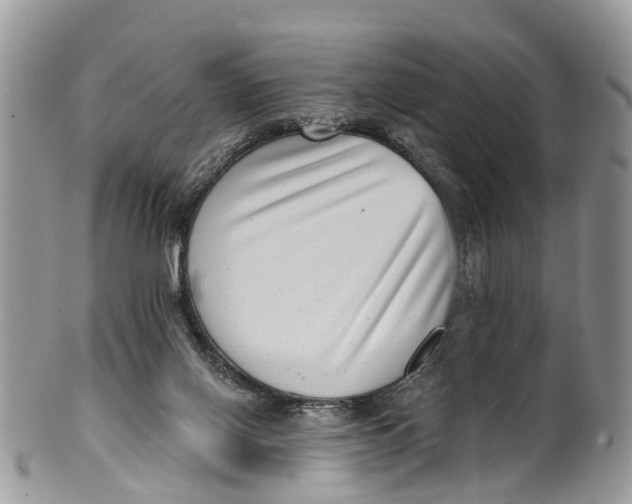 X0000099970070200806131541