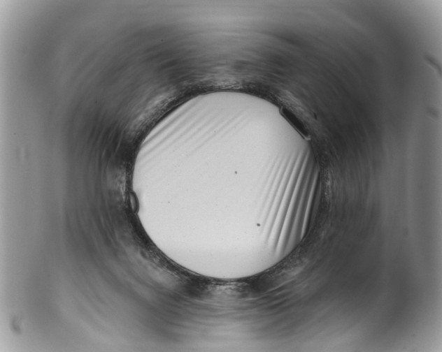 X0000099970072200806131541