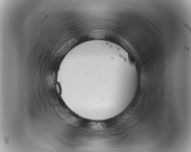 X0000099970073200806131541