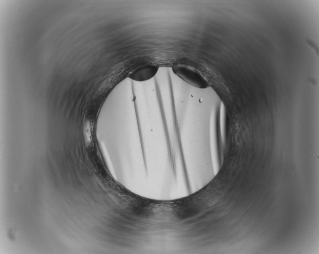 X0000099970075200806131541