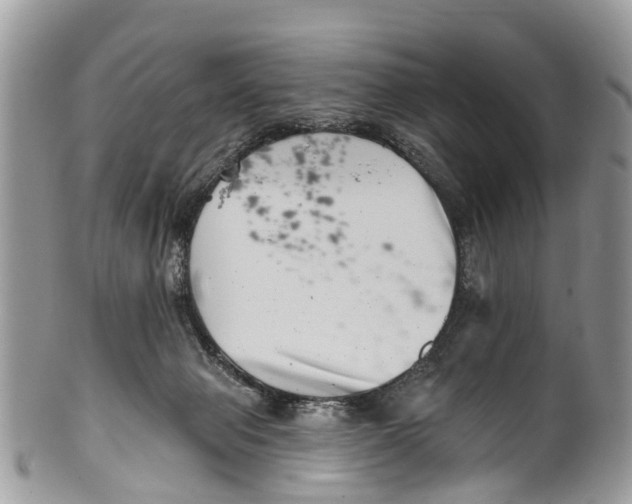 X0000099970077200806131541