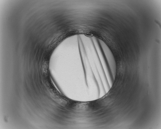 X0000099970078200806131541