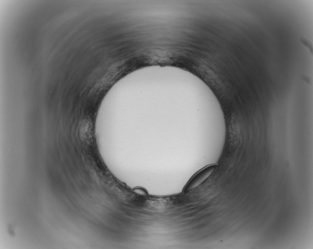 X0000099970079200806131541