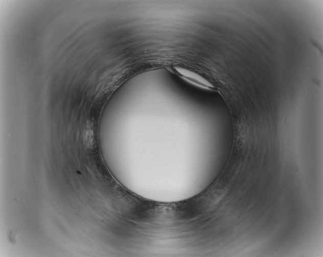 X0000099970080200806131541