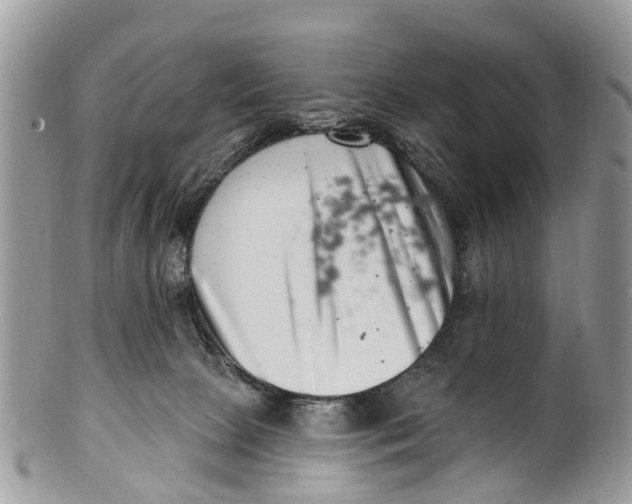 X0000099970081200806131541