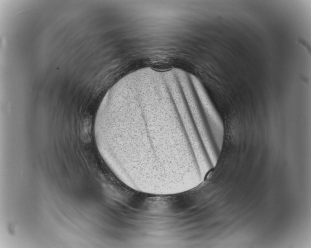 X0000099970082200806131541