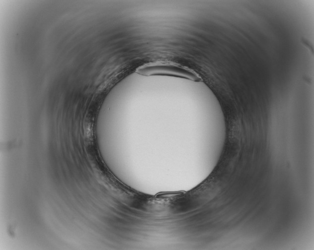 X0000099970084200806131541