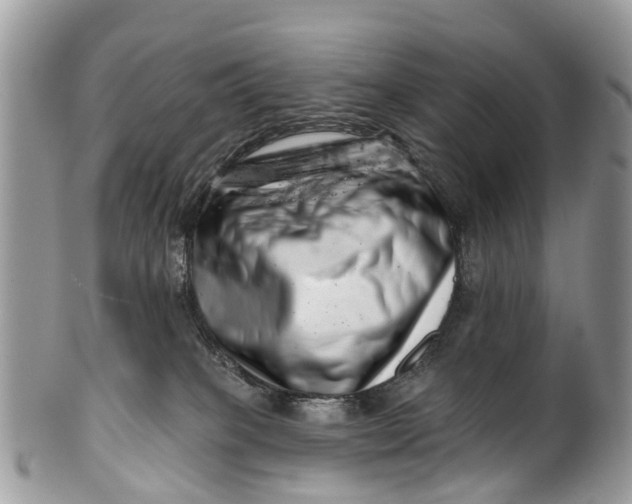 X0000099970085200806131541