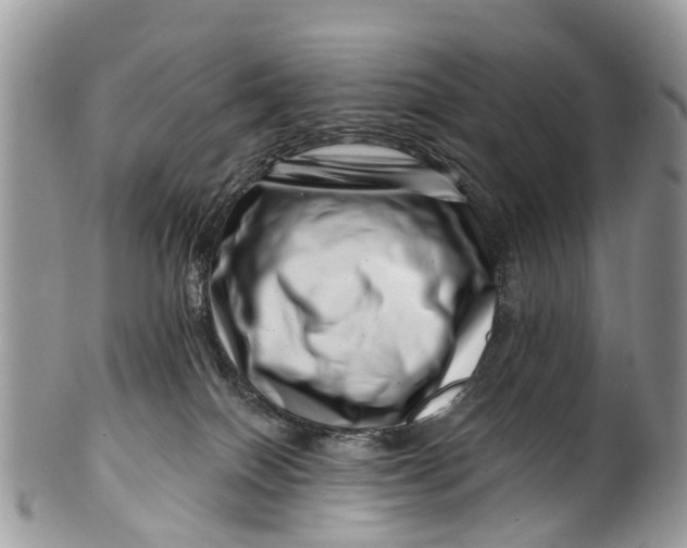 X0000099970086200806131541