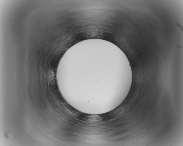 X0000099970087200806131541