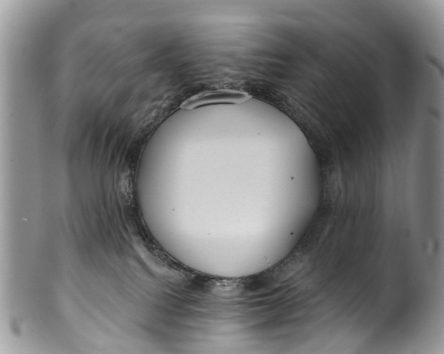 X0000099970088200806131541