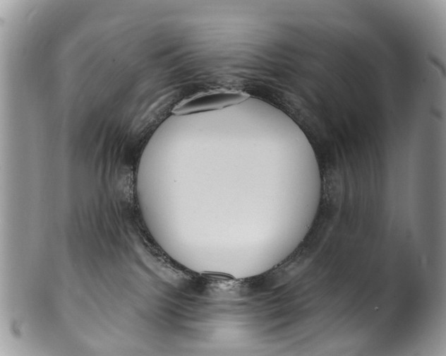 X0000099970092200806131542