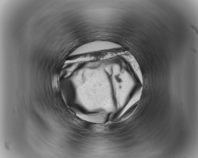 X0000099970094200806131542