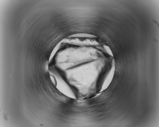 X0000099970095200806131542