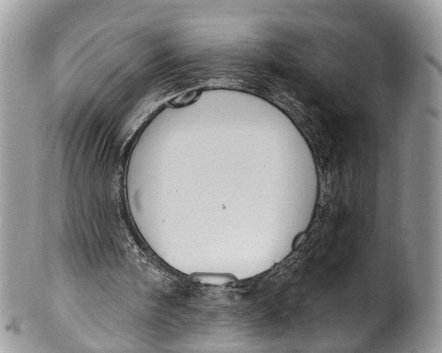 X0000099970098200806131541