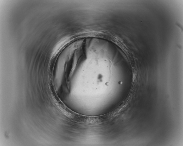 X0000099970101200806131541